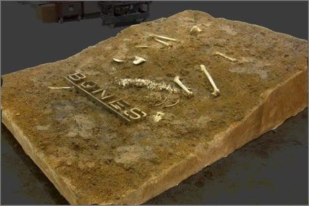 Restos humanos, Huesos, para FOX (Bones) tienda efímera promocional para sus series.