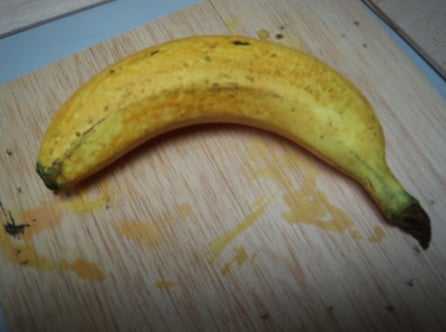 Platano Ficticio, para Exposición.