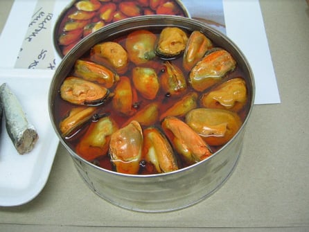 Ficticio de Mejillones, para el Museo del Mar, Vigo