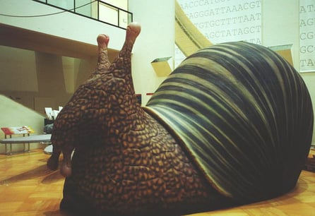 Caracol Gigante 5 metros, Exposición Ciencias Lisboa