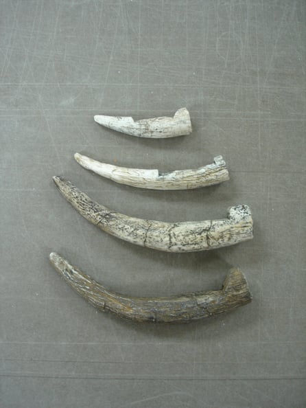 Ficticios de la Hoya y la Guardia