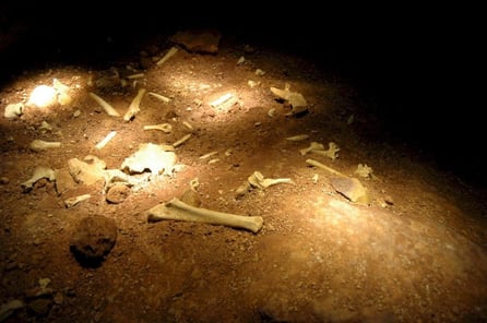 Yacimiento Sima de los Huesos Atapuerca, Museo de la Evolución