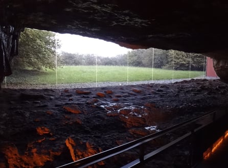 Neocueva de Altamira - Santillana del Mar