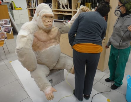Gorila Albino, Copito de Nieve, par ala recepción de un hotel en Africa.