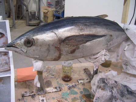 Escultura de Túnido, Atún, en taller