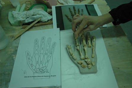 Base con alojamintos para exponer los huesos de la mano, yacimiento Atapuerca