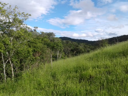So sieht es in unserem Zufluchtsort aus! Herrliche unberührte Natur!
