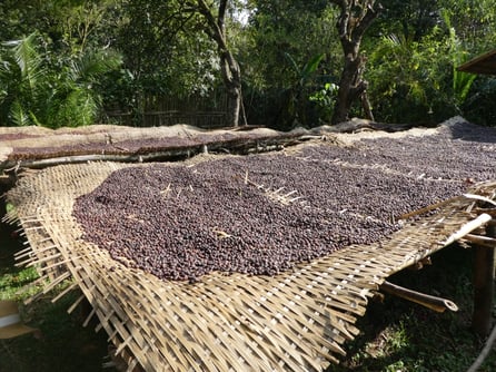 Hochbeet zur trockenen Aufbereitung (Christiane, Äthiopien 2017)