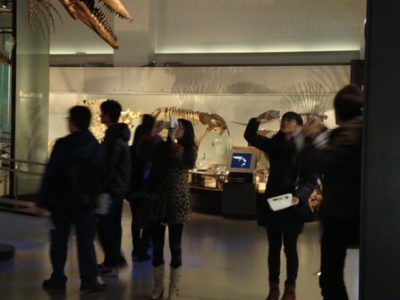 국립과학박물관견학