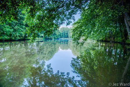 Holiday Charente, Charente Accommodation, Fishing Holidays France , Holiday Cottage, Charente, France