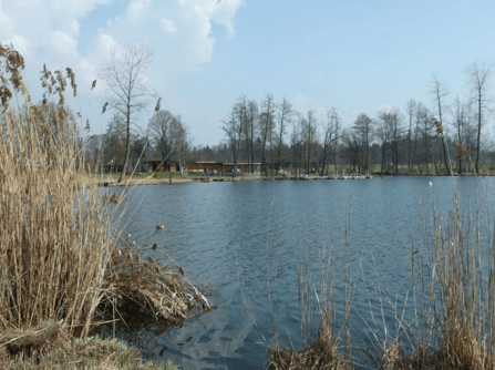 (Bild: buebikernews)