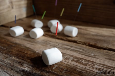 appearance-of-manon-with-the-signboard