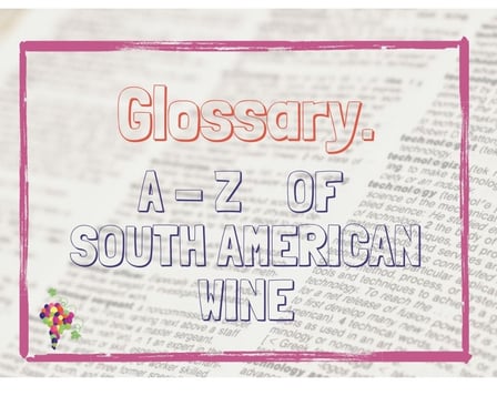Südamerika Wein Guide A-Z Amanda Barnes The South America Wine Guide