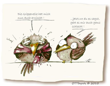 Vogelgrippe, Grippewahn,Grippewelle, ottbyrds,krankkheit,erkältung