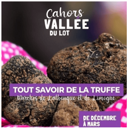 journées truffes Lot 46 Quercy Lalbenque séjour thématique truffes gastronomie