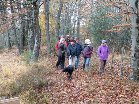 ©Collectif Grand Albert