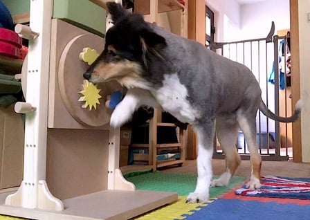 Foto Ute Blaschke-Berthold