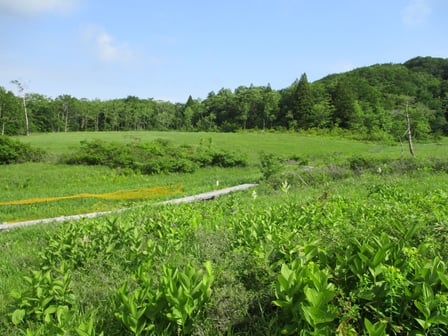 イベント　ハイキング　玉原高原　玉原湿原　尼ヶ禿山　トミーワン　アウトドアショップ　群馬県太田市