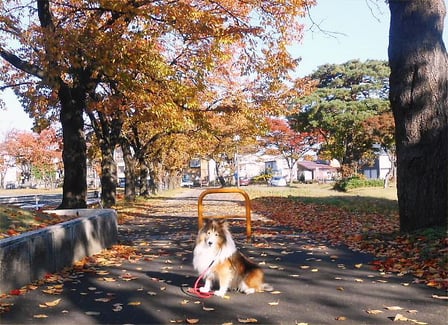 2013.11.17 (Sun) Erie