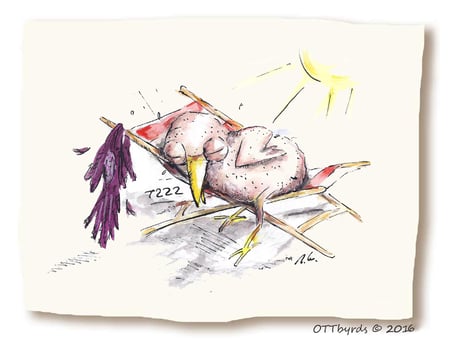 Hitzefrei,heiß,hot, urlaub, urlaubsreif,ottbyrds,holiday