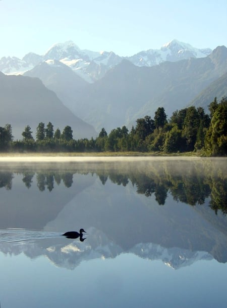 Lake Matheson / Mirror Lake