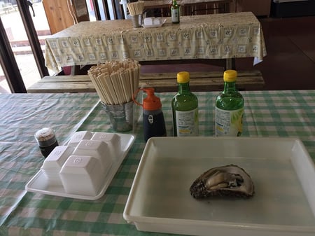 テーブルにレモン汁がスタンバイされている親切さ。いただきます。