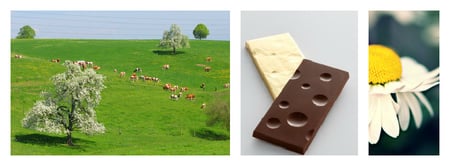 Schweizer Spezialitäten, Bündner Spezialitäten, Walliser Spezialitäten, Emmentaler Spezialitäten, Meringue, Schweizer Schokolade