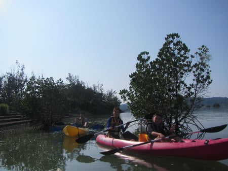 マングローブカヤック