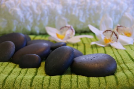 vivum Mühlethaler Massage LNB-Schmerztherapie Herzogenbuchsee