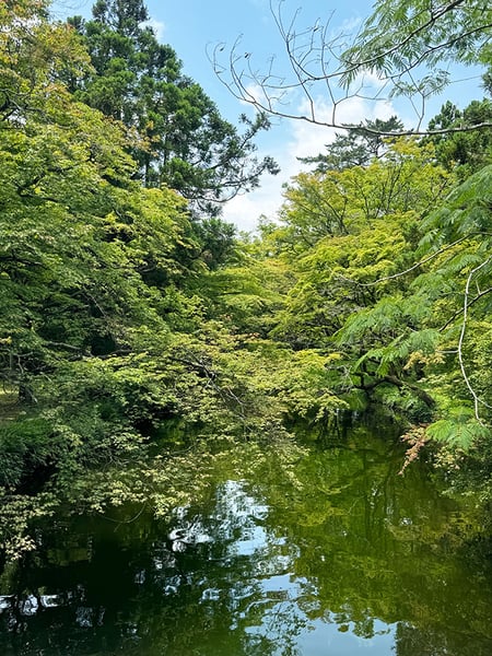湯布院の金鱗湖
