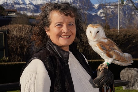 regula-meyers Webseite!