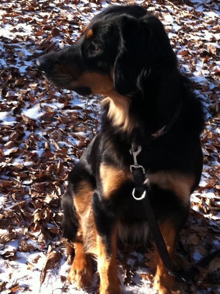 Bildernachschlag Februar 2012 (1,5 Jahre)