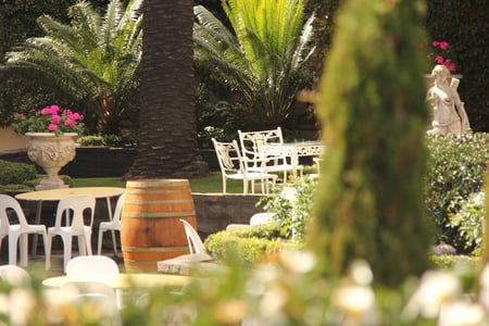 French Provincial Wedding