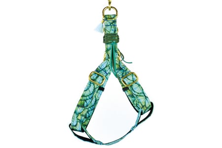 Hundegeschirr Geschirr Baumwolle grün gold  Phénix Frimousse Dog