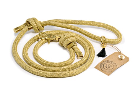 Hundeleine Tauleine Gold Frimousse Dog