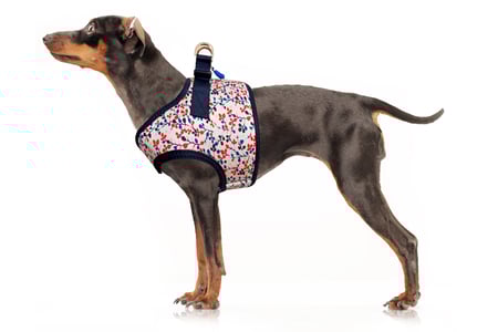Hundegeschirr Softgeschirr rosé blau floral blüten blätter Neopren