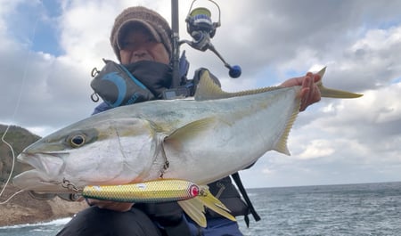 alt="隠岐でヒラマサをキャッチした釣果写真"