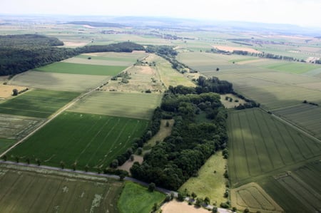 Zigneunerwäldchen - Foto: NABU/A. Kreusel