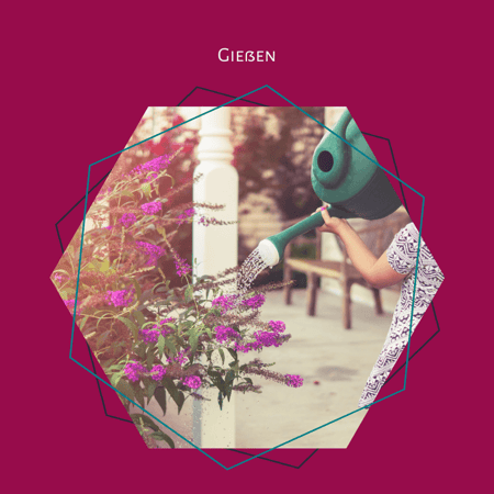 Gießen: Wieder Freude am Schreiben haben. Hilfe beim Schreiben. 