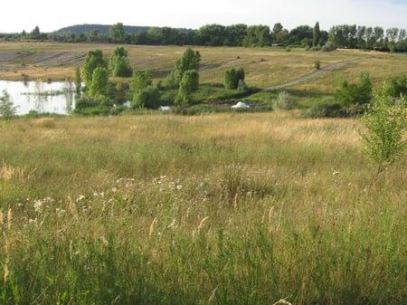 Flutung Frankleben vom Radweg aus Juni 2007