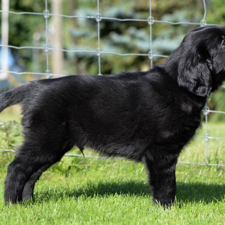 Sanibelbreeze Daily Surprise *Day*