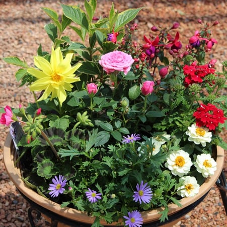 宮子花園は四季折々の花やグリーンで、その季節にあった長く楽しめる寄せ植えをお作りいたします。