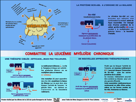 lycée bonaparte toulon marjorie saugues docteur yves colette leucemie myeloide chronique inserm crcm canceropole paca lmc france 