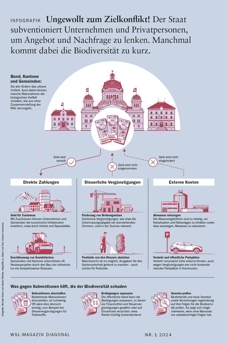 Infografik zum Thema Subventionen und Biodiversität © Michael Stünzi