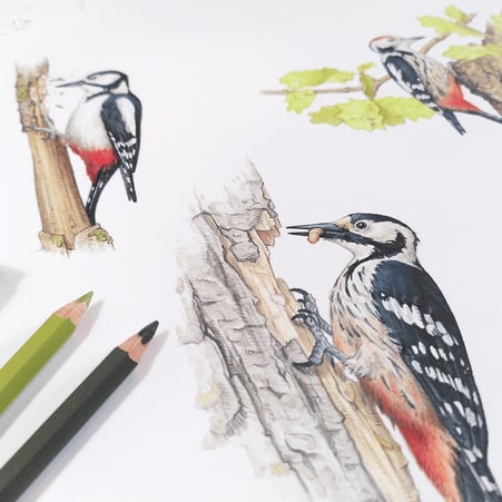 Die Illustrationen sind in analoger Mischtechnik gezeichnet © Michael Stünzi