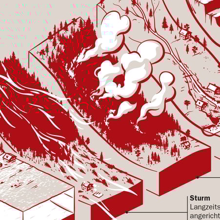 Ausschnitt aus der Infografik: Hochwasser, Sturm, Waldbrand, Murgang © Michael Stünzi