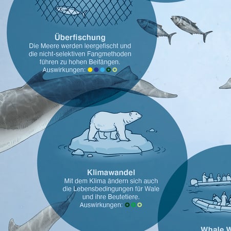 Ausschnitt der Infografik - Detail Klimawandel und Überfischung © Michael Stünzi