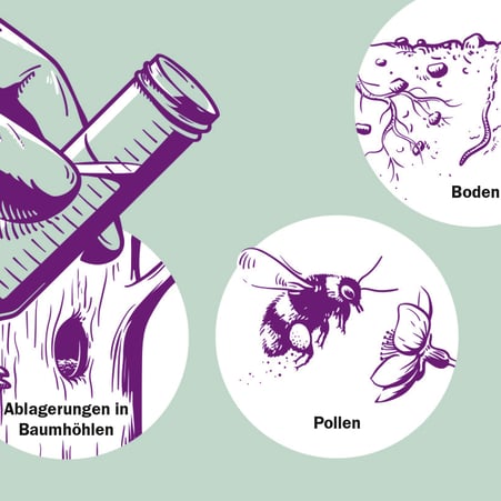 Ausschnitt aus der Infografik: Proben sammeln © Michael Stünzi