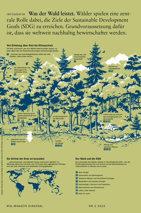 Infografik zum Thema Wald und SDGs © Michael Stünzi