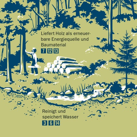 Ausschnitt aus der Infografik: der Wald liefert Holz und reinigt Wasser © Michael Stünzi